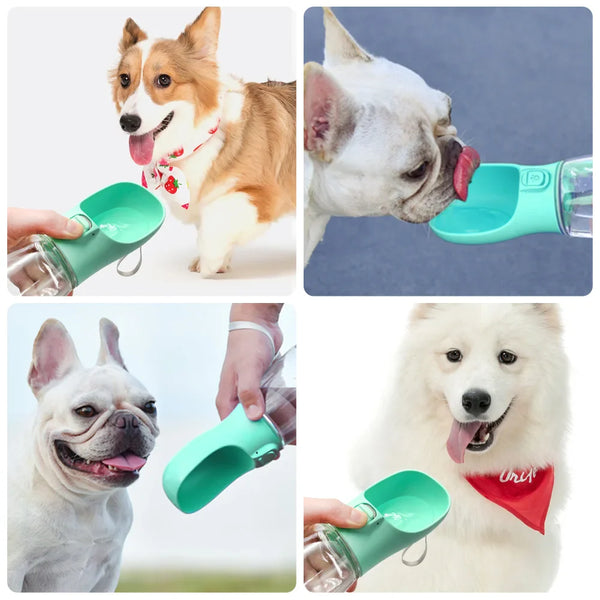 FEEDING AND HYDRATION