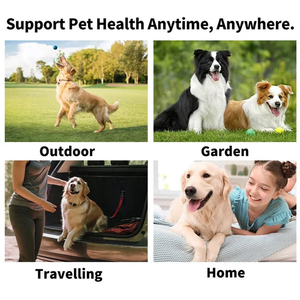 GROOMING AND CARE